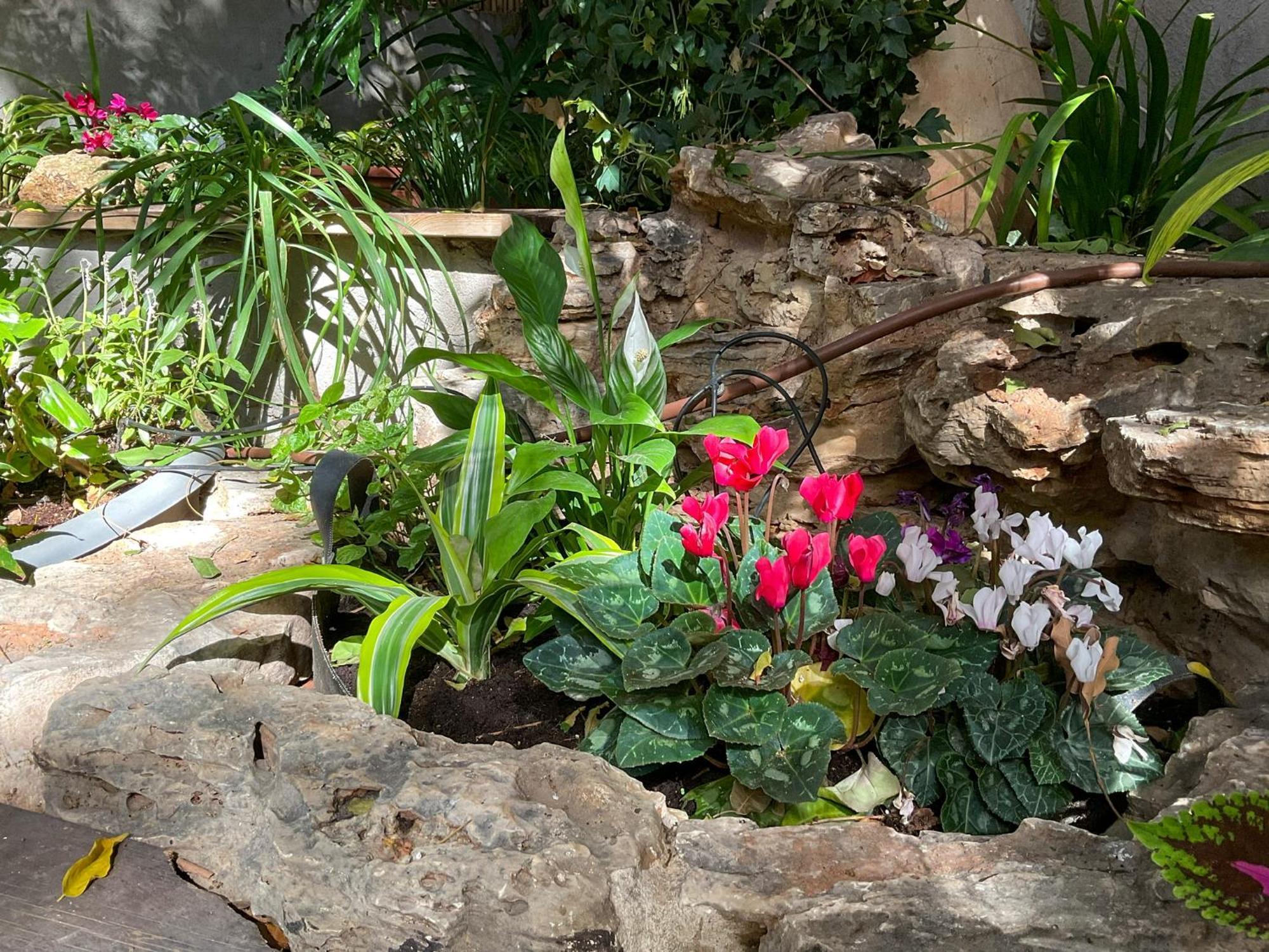 Mendele Garden Appartamento Tel Aviv